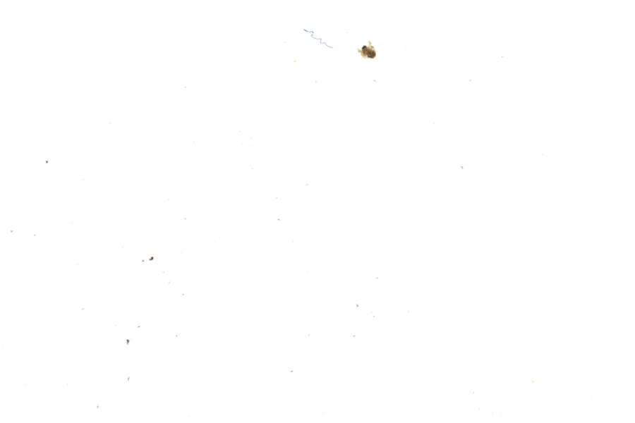 Image 66